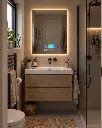 Lumzis Essence Elvian.webp